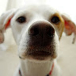 Meet your Posher, Jon